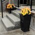 TALL PLNTR 7847-B PK2