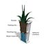 TALL PLNTR 7847-B PK2