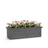 Mayne Fairfield 48in Garden Bed - Graphite Grey 4889-Grg