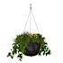 CAPRIO HANGING PLNTR - BLK