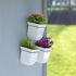 8IN WALL MNT PLTR 3871-W PK3