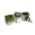 8IN WALL MNT PLTR 3871-W PK3