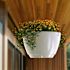HANGING PLNTR WH 3885-W