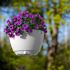 HANGING PLNTR WH 3885-W