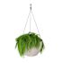 HANGING PLNTR WH 3885-W