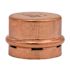 Quickfitting Surepress 2" Copper Cap Fitting Press