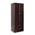 Medacure Wardrobe 2 Door/2 Drawer In Mahogany