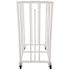 Champion Sports Deluxe Vertical Ball Cage, Metal, 20"X20"X48", White