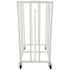 Champion Sports Deluxe Vertical Ball Cage, Metal, 20"X20"X48", White