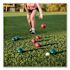 Champion Sports Deluxe Bocce Tournament Set, 4.25" Dia Balls, Package Of 9