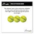 Champion Sports Tennis Balls, 2.5" Diameter, Yellow, Package Of 3