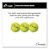 Champion Sports Tennis Balls, 2.5" Diameter, Yellow, Package Of 3