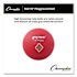 Champion Sports Playground Ball, 10" Diameter, Red