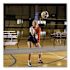 Champion Sports Tournament Power Volleyball Net, 32 Ft X 3 Ft