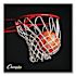 Champion Sports Rubber Sports Ball, Basketball, No. 6 Size, Orange