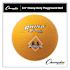 Champion Sports Heavy Duty Playground Ball, 8.5" Diameter, Yellow