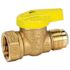 Premier 1/2 In. FIP X 1/2 In. Fl Brass Gas Ball Valve