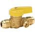 Premier 3/8 In. Fl X 3/8 In. Fl Brass Gas Ball Valve With Side Tap