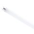 SATCO 11/T8/Led/48-850/Dr Case Of 10