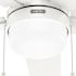 Hunter Fan 44" Anisten Ceiling Fan With LED Light And Pull Chain, Fresh White