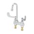 T&S Brass And Bronze Medcl Fct Dk Mt Swivel/Rigid Gseneck Aerator Wrist Handles