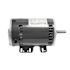 Rheem Blower Motor 2hp, 1725 Rpm, 208-230/460 Volts, Three Phase, 7.5-3.4 Amps