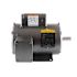 Baldor-Reliance General Purpose Motor 115/230 Volts, 60 Hz, Single Phase