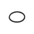 Chicago Faucets O-Ring For Xt Cartridge