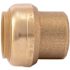 SharkBite 1 in. Push-to-Connect Brass End Stop Fitting