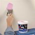 DAP DryDex 32 oz. Dry Time Indicator Spackling Paste