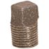 ProPlus 1-1/4 in. Black Malleable Plug