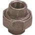 ProPlus 1/2 in. Black Malleable Union