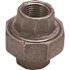 ProPlus 3/4 in. Black Malleable Union