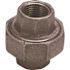 ProPlus 1 in. Black Malleable Union