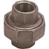 ProPlus 1-1/2 in. Black Malleable Union