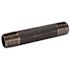 Southland 1/2 in. Close Black Steel Nipple