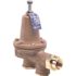 Watts 3/4 in. Bronze DU Water Pres Reg Lead Free