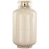 Worthington 30 lbs. Empty Steel Propane Tank