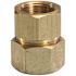 OMEGA FLEX TRAC PIPE AUTOFLARE FITTING 3/4 IN. FEMALE ADAPTER*