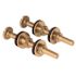 PROPLUS 3/8 in. x 3-1/8 in. Solid Brass Closet Tank Bolts Pair