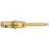 ProPlus Diverter Stem Assembly for Central Brass