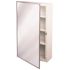 ProPlus 16 in. x 22 in. Surface Mount Medicine Cabinet in Chrome