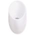 KOHLER Steward Waterless Urinal in White