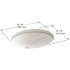 KOHLER Caxton 19-1/4 in. Oval Vitreous China Undermount Bathroom Sink in White