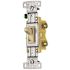 HUBBELL WIRING 15 Amp Single-Pole Illuminated Toggle Switch, Ivory