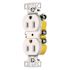 HUBBELL WIRING 15 Amp Push Terminal Duplex Receptacle, White