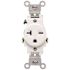 Leviton 20 Amp 250-Volt NEMA 6-20R 2-Pole Commercial Grade Single Straight Blade Receptacle, Ivory 5821-I