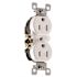 Leviton 15 Amp 125 V Tamper Resistant Duplex Outlet/Receptacle, White (1-Pack) T5320-W