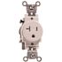 Leviton 20 Amp 125 V Tamper Resistant Single Outlet/Receptacle, Ivory (1-Pack) T5020-I