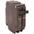 GE Q-Line 50-Space Amp 1 in. Double-Pole Circuit Breaker (THQP250)